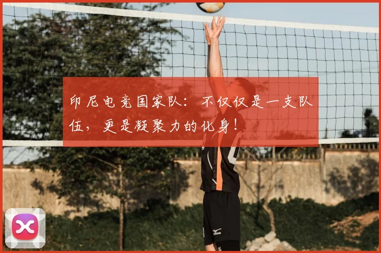 印尼电竞国家队：不仅仅是一支队伍，更是凝聚力的化身！