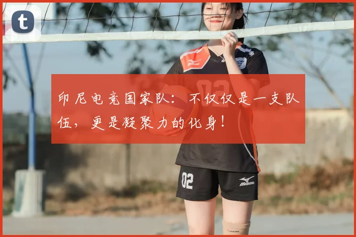 印尼电竞国家队：不仅仅是一支队伍，更是凝聚力的化身！