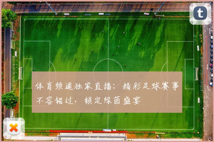 体育频道独家直播：精彩足球赛事不容错过，锁定绿茵盛宴