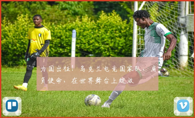 为国出征！乌克兰电竞国家队，肩负使命，在世界舞台上绽放