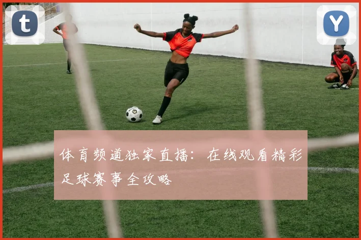 体育频道独家直播：在线观看精彩足球赛事全攻略